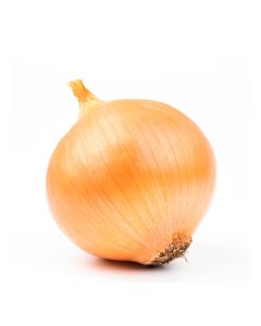 Cebolla