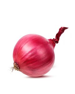 Cebolla Morada