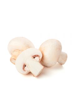 Champiñon