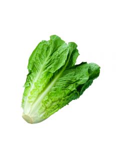 Lechuga Costina