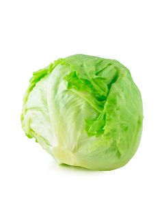 Lechuga Escarola