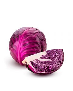 Repollo Morado