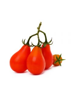 Tomate Pera