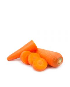 Zanahoria